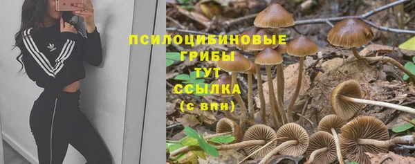 мет Елабуга