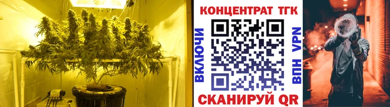 как найти   KRAKEN как войти  Дистиллят ТГК THC oil  Сасово 