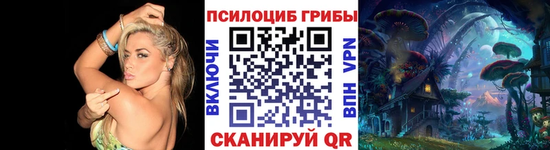 площадка состав  Сасово  Псилоцибиновые грибы мицелий 